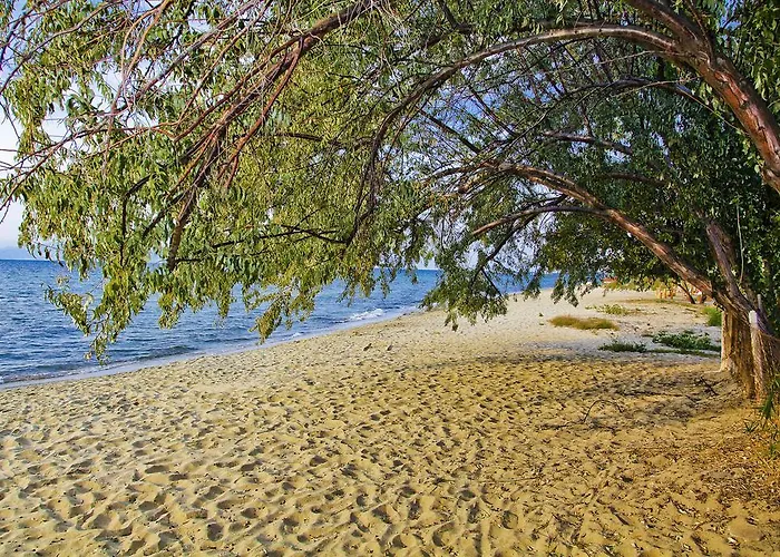 Stella Ξενοδοχείο Σκάλα Ραχωνίου